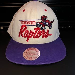 Toronto Raptors Hat